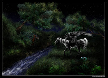 Pegasi night