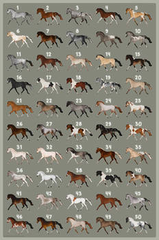 1st Mystery Horse Adopt Batch | CLOSED - 0/50