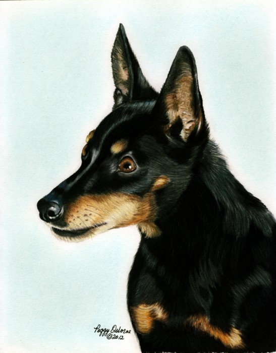 A Portrait of Ebony