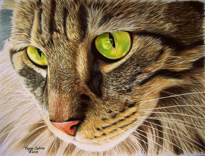 Green Eyed Tabby