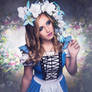 Alice in Wonderland by Signature Beauty Galler1679