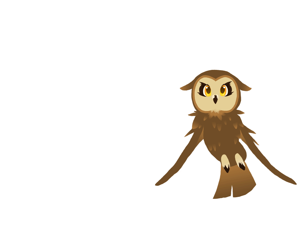 Owl Animation Final by SonicSketch on DeviantArt