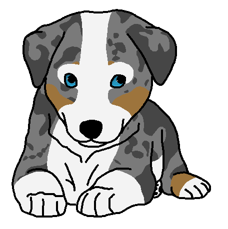 Border Collie Pup 1 Slate Merle Tri By Entiegon On Deviantart
