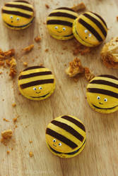 Honey Bee Macarons