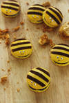 Honey Bee Macarons by cakecrumbs