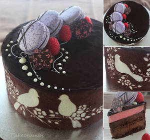 Joconde with Chocolate and Raspberry Entremet