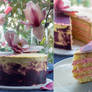 Magnolia Sponge Cake