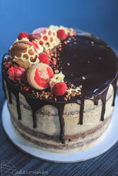 Chocolate Sponge Drip Cake