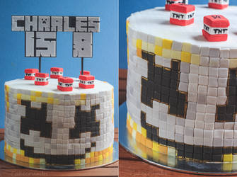Marshmello Minecraft Rainbow Birthday Cake