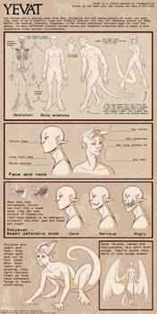 YEVAT - Anatomy sheet