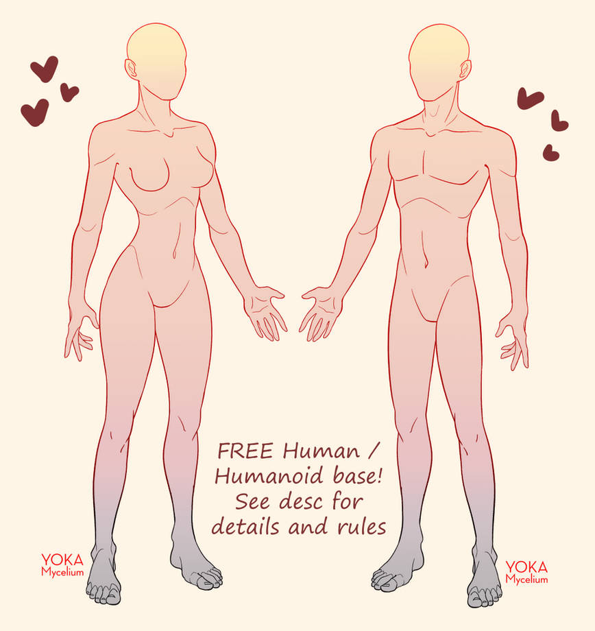 Unity Human Base Human / Humanoid free base by YokaMycelium on DeviantArt