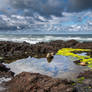 Tide Pools