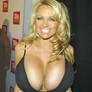 Pamela Anderson- Fantasy Implant Upgrade