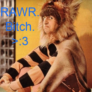 Ringo says RAWR.