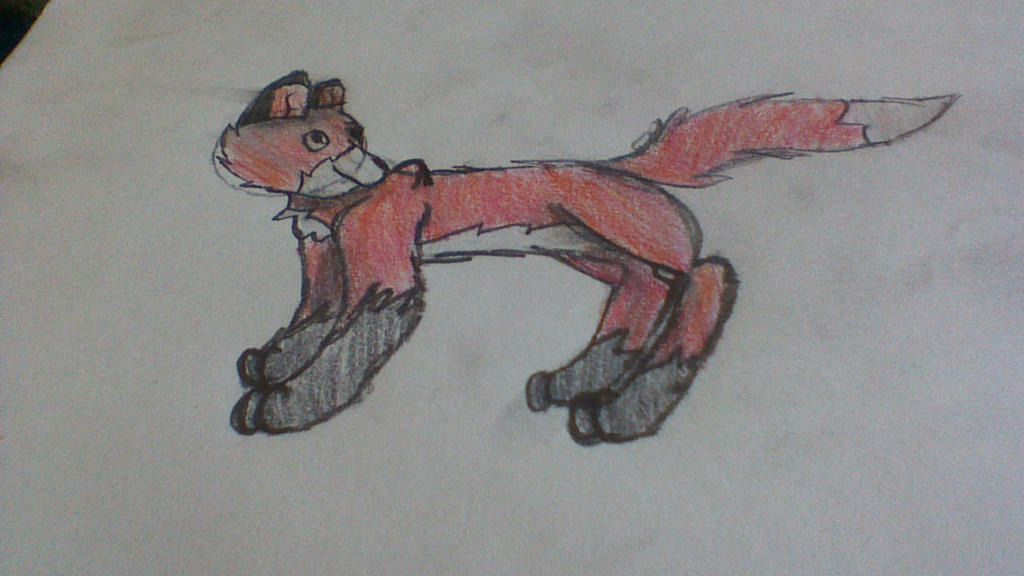 Deviantart Limber Fox Fox by spiritisgreat on DeviantArt