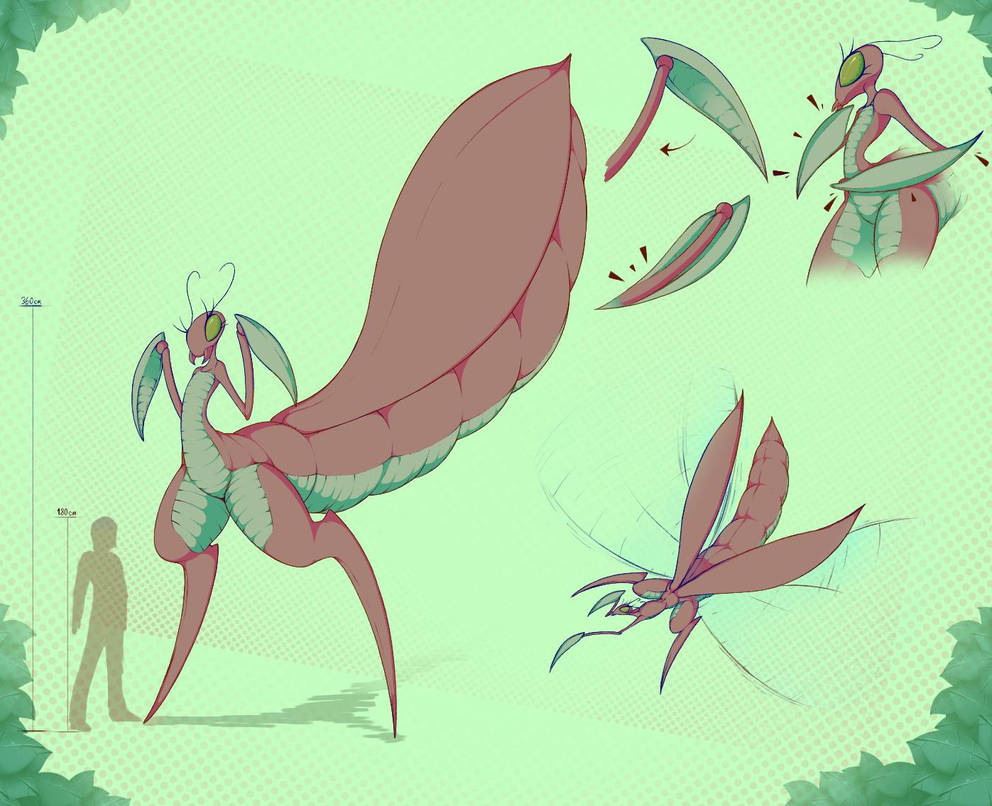 Bug OC thing by Pittory on DeviantArt