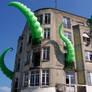 octopied building