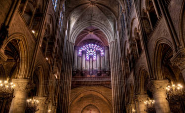 Inside Notre Dame