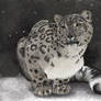 Snow Leopard