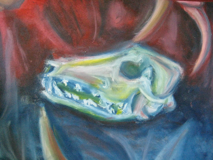 Coyote skull and abstracts