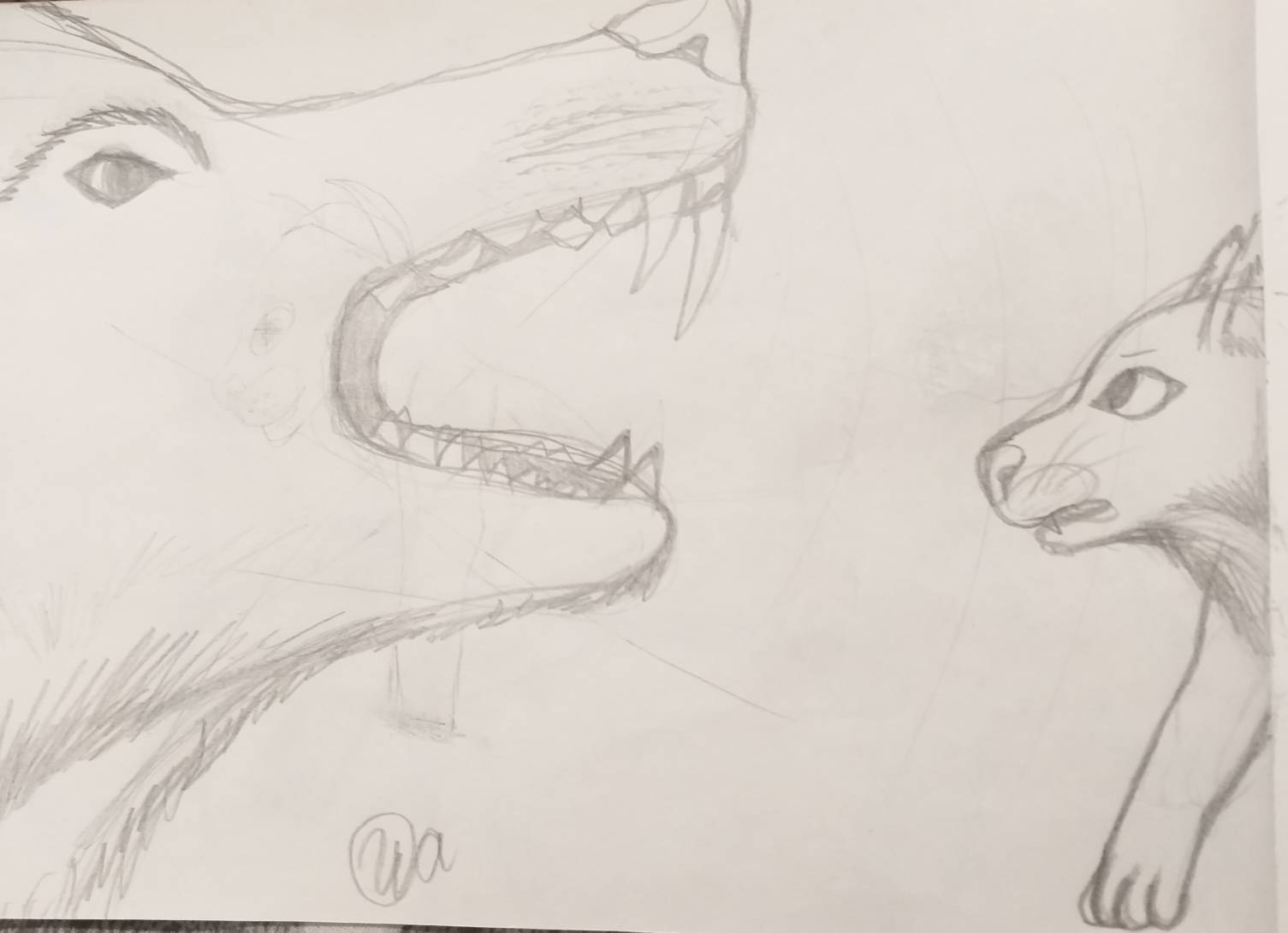 Wolf Fangs By CrystalCat7 On DeviantArt