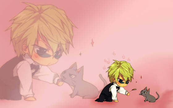 Shizuo and the cat