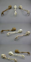 Skeleton Keys