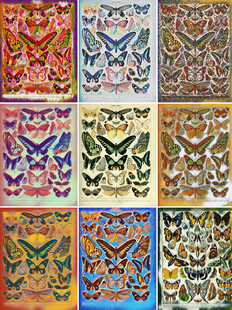 19 Papillons II By Buskyacht On DeviantArt 19-papillons-ii-by-buskyacht-on-deviantart