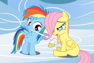 Rainbow Dash And Fluttershy