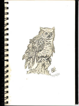 Great Horned Owl Bird No. 1