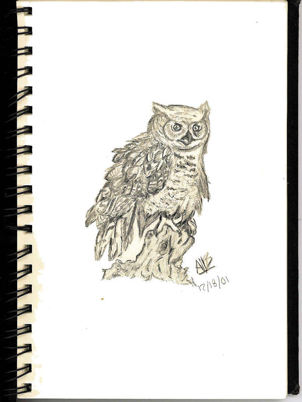 Great Horned Owl Bird No. 1