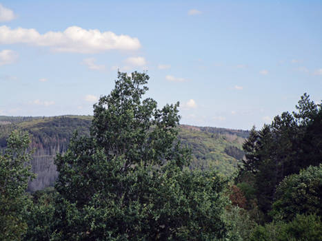 Area around Lake Urft (Volcano Eifel)