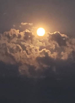 Nightsun
