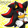 Shadow ms paint