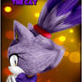 Blaze the cat