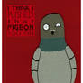 Pigeon