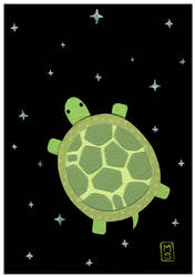 Space Turtle