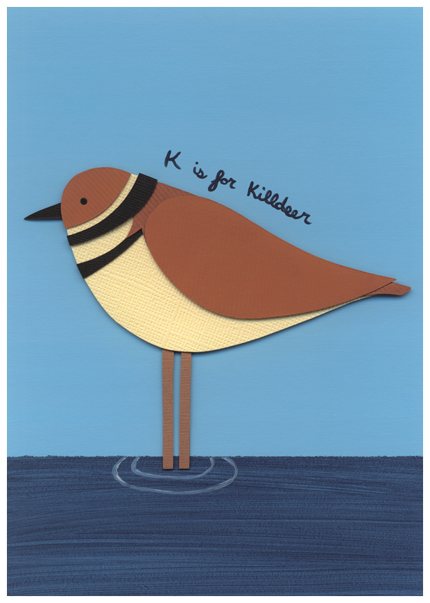 K is for Killdeer