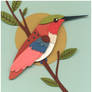 Hummingbird 2