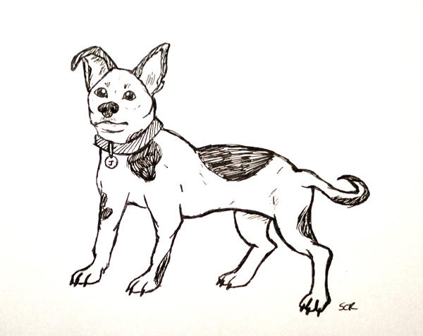 Pibble Draw Pibble by arrowplane on DeviantArt