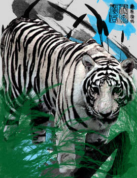 paint brush series: Tiger