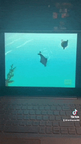 Eliza Ride On The Dolphin In The Ocean by LandyEdme95 on DeviantArt