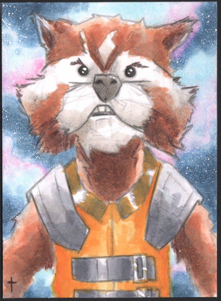 Rocket Racoon Diaper 22.08.30 Rocket Racoon by turtlespopart on DeviantArt