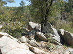 Rocky Hilltop 3 by DeviousRose