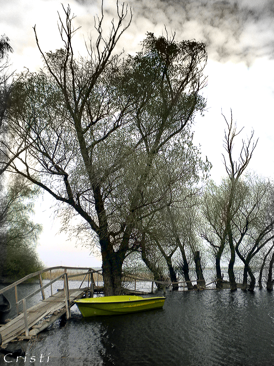 A walk with boat