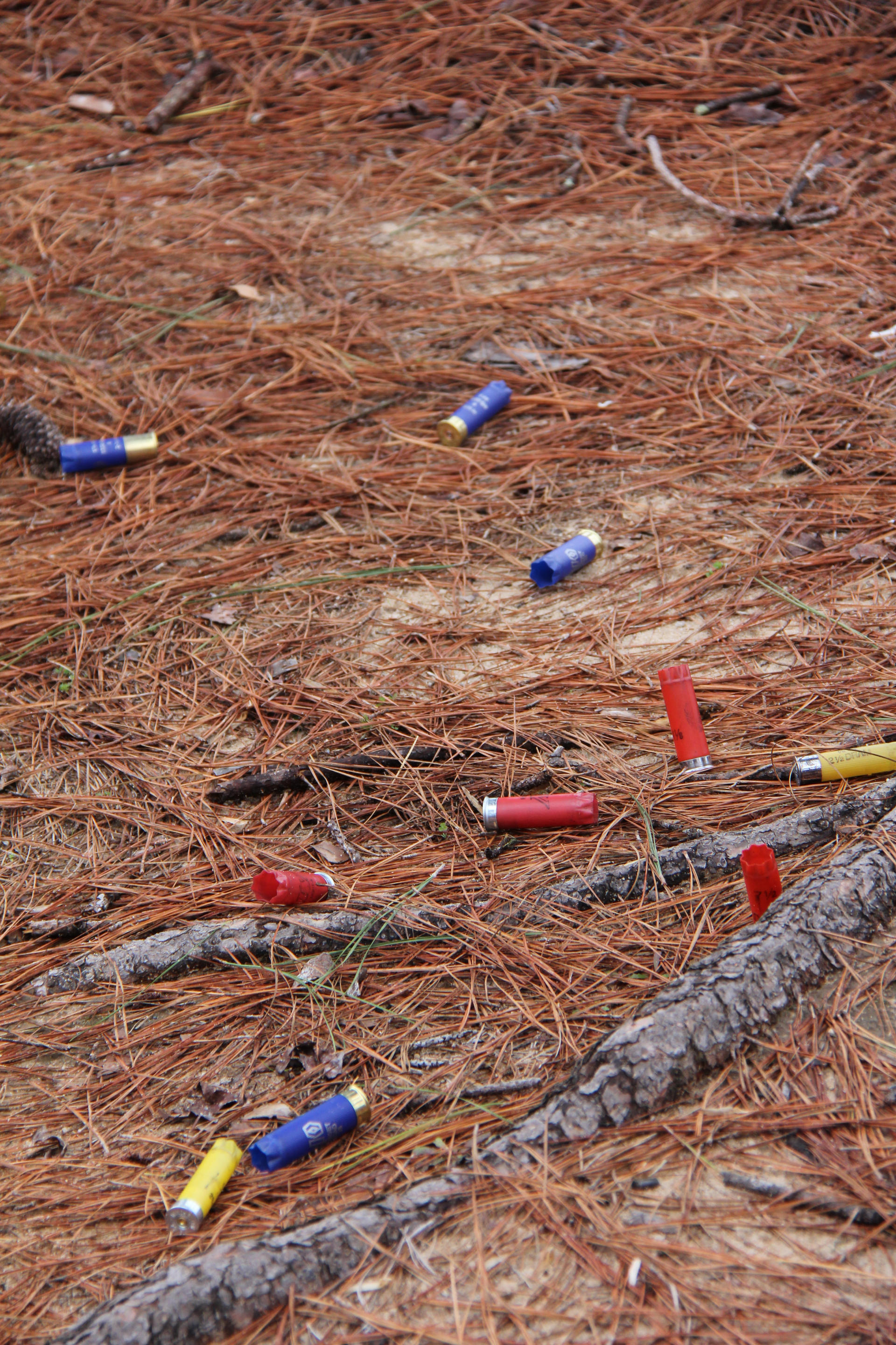 Spent Shells by WickedStorm13 on DeviantArt