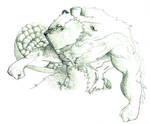 Were Beaver by Kazym