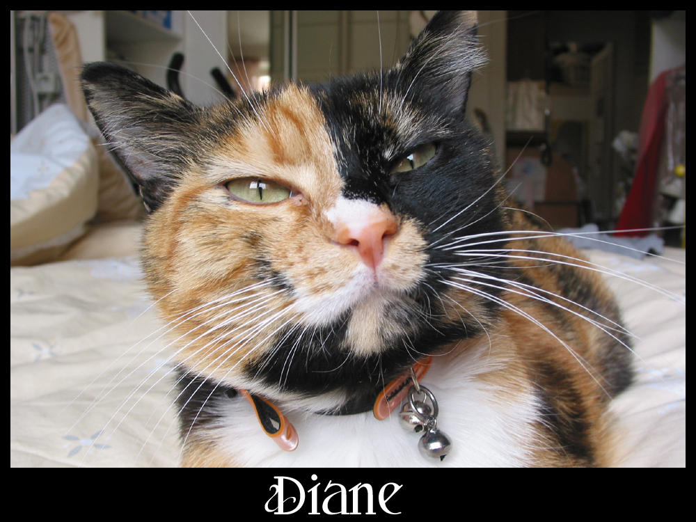 Diane by Kasumi-kawaii on DeviantArt