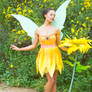 Pixie Hollow Iridessa Cosplay Costume