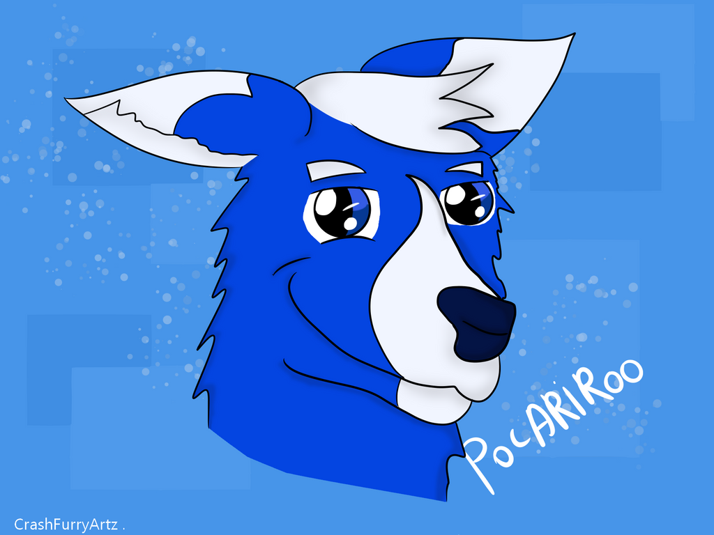 Pocari Roo Characters Pocari Roo FanArt by CrashFurryArtz on DeviantArt